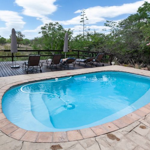A stunning pool in Fulshear, Texas, showcasing crystal clear blue water and a luxurious outdoor setting.
