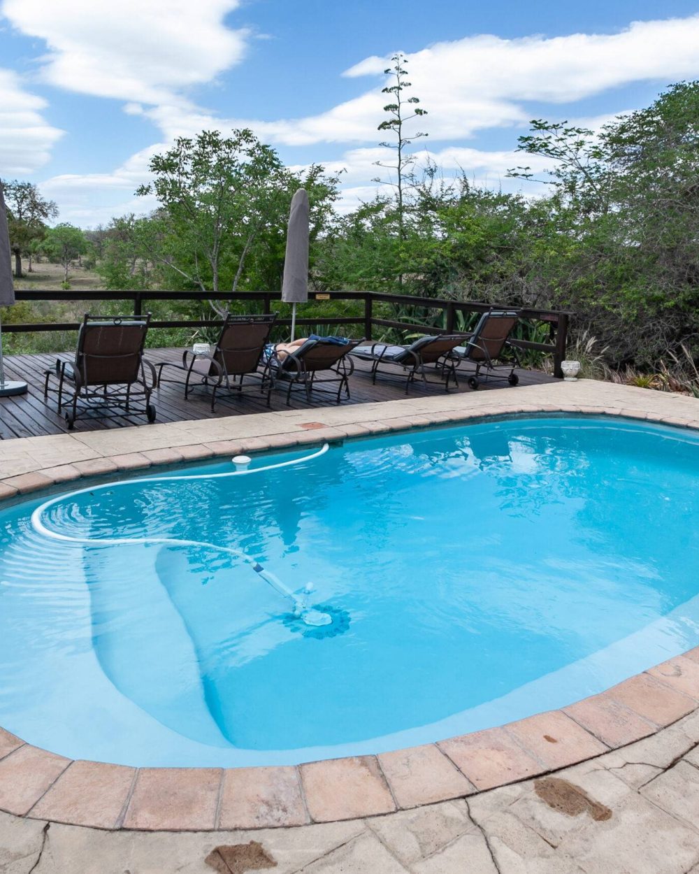 pool service in fulshear A stunning pool in Fulshear, Texas, showcasing crystal clear blue water and a luxurious outdoor setting.